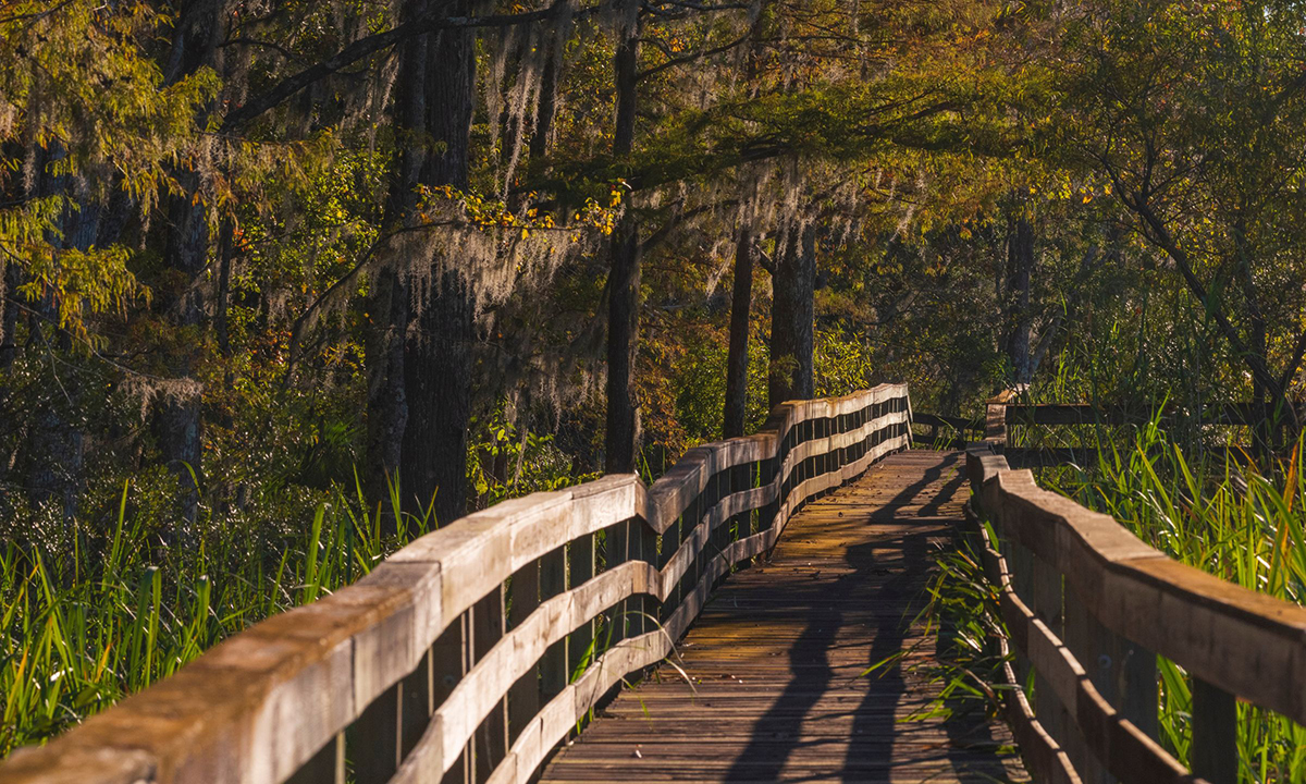 aDoor.FS.25-145 E.O. Wilson Boardwalk at Historic Blakeley State Park